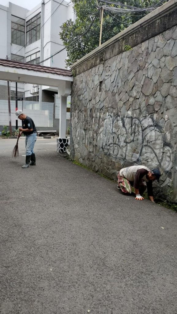 whatsapp image 2026 01 11 at 07.39.23