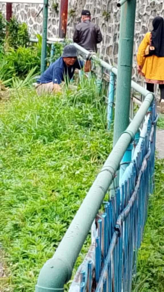 whatsapp image 2026 01 11 at 07.48.23