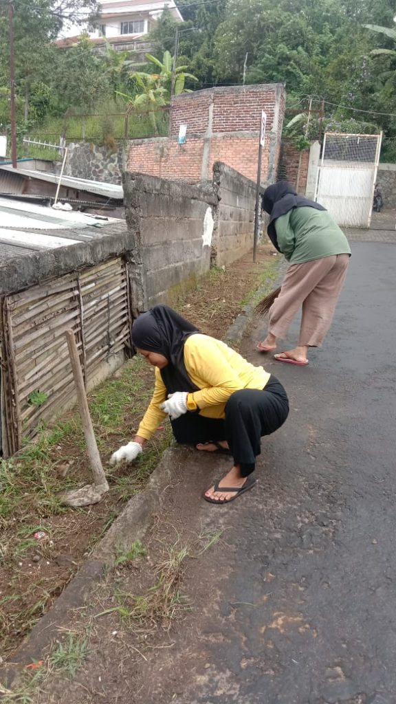 whatsapp image 2026 01 11 at 08.02.00